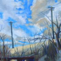 telephone poles behind marshy field